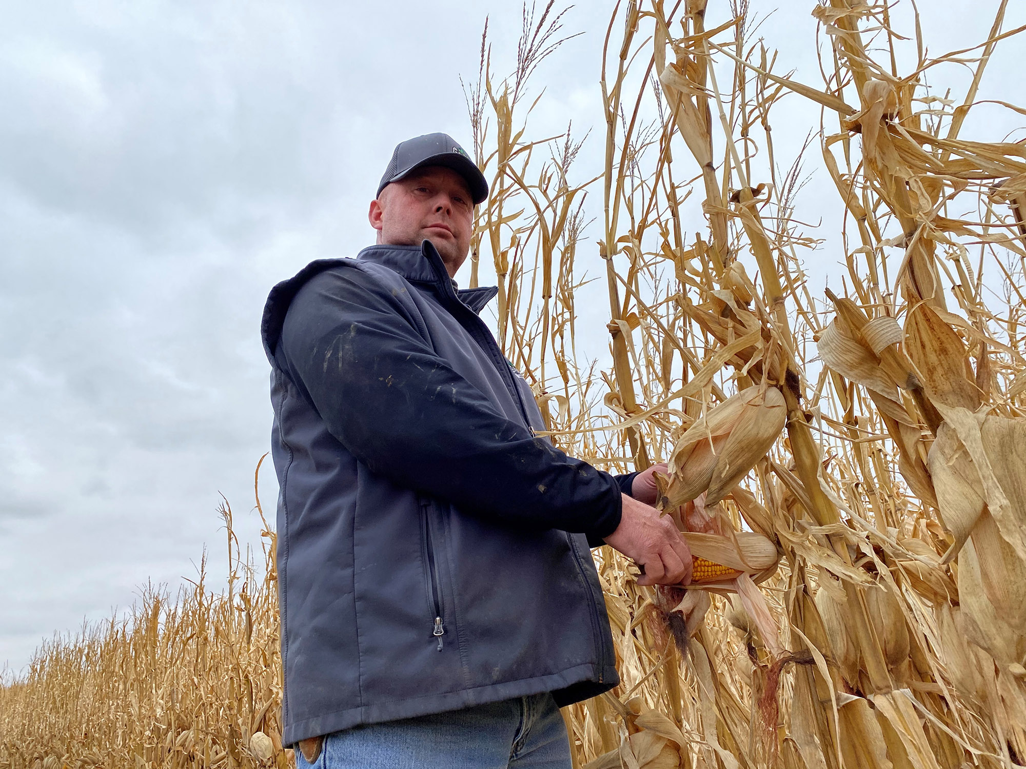 Iowa Farmer Finds Fortune in Selling Carbon Credits to Shopify - Bloomberg