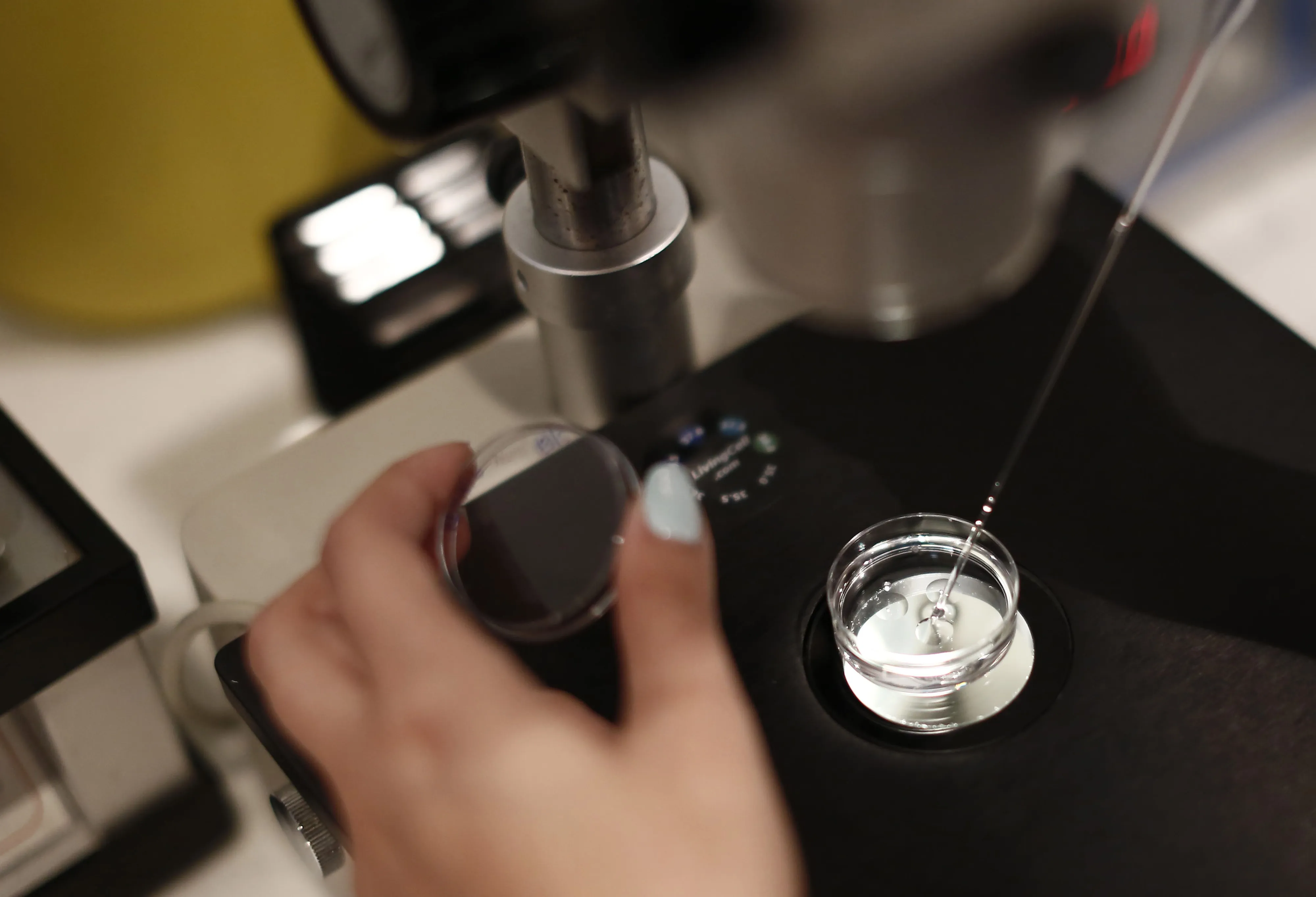 A liquid solution in a laboratory for in vitro fertilization.