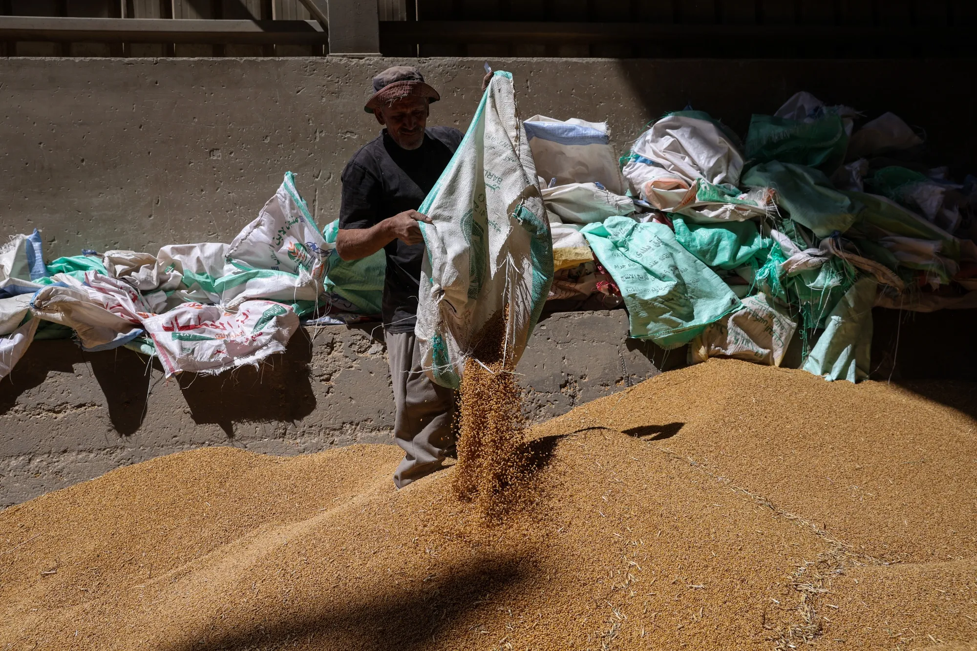 A workers unloads a delivery of wheat grain in Banha, Egypt.
