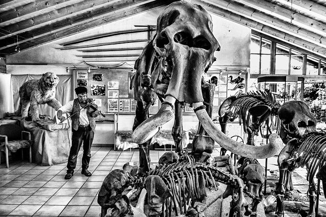Von Bredow in the Mammutheum in 2014, playing a violin he made