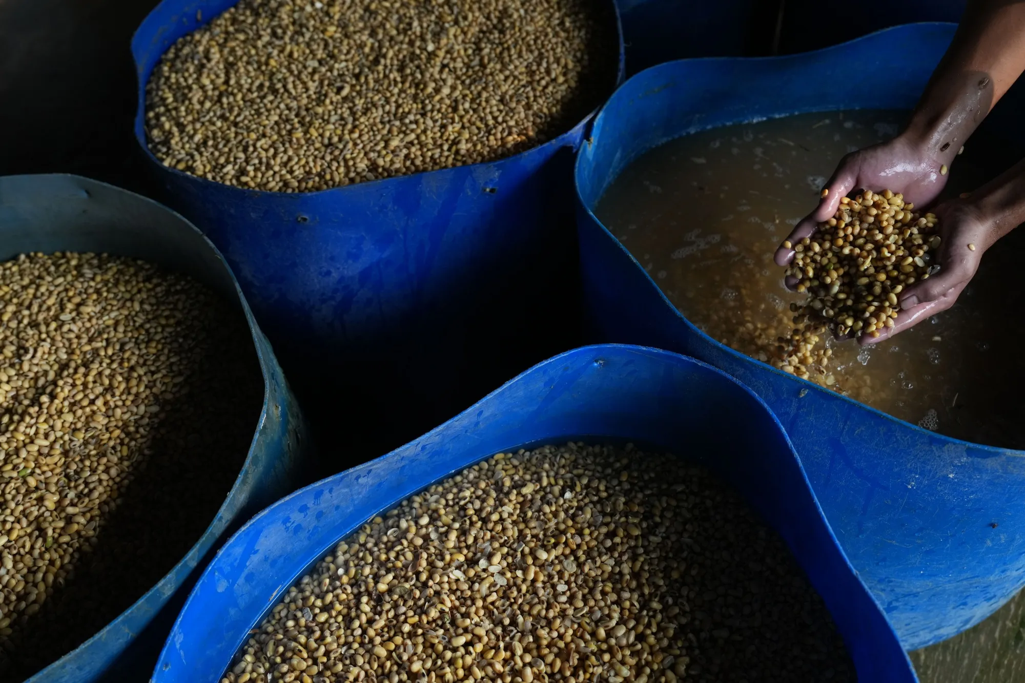Inside Tofu Factory Ahead of Indonesia GDP Figures