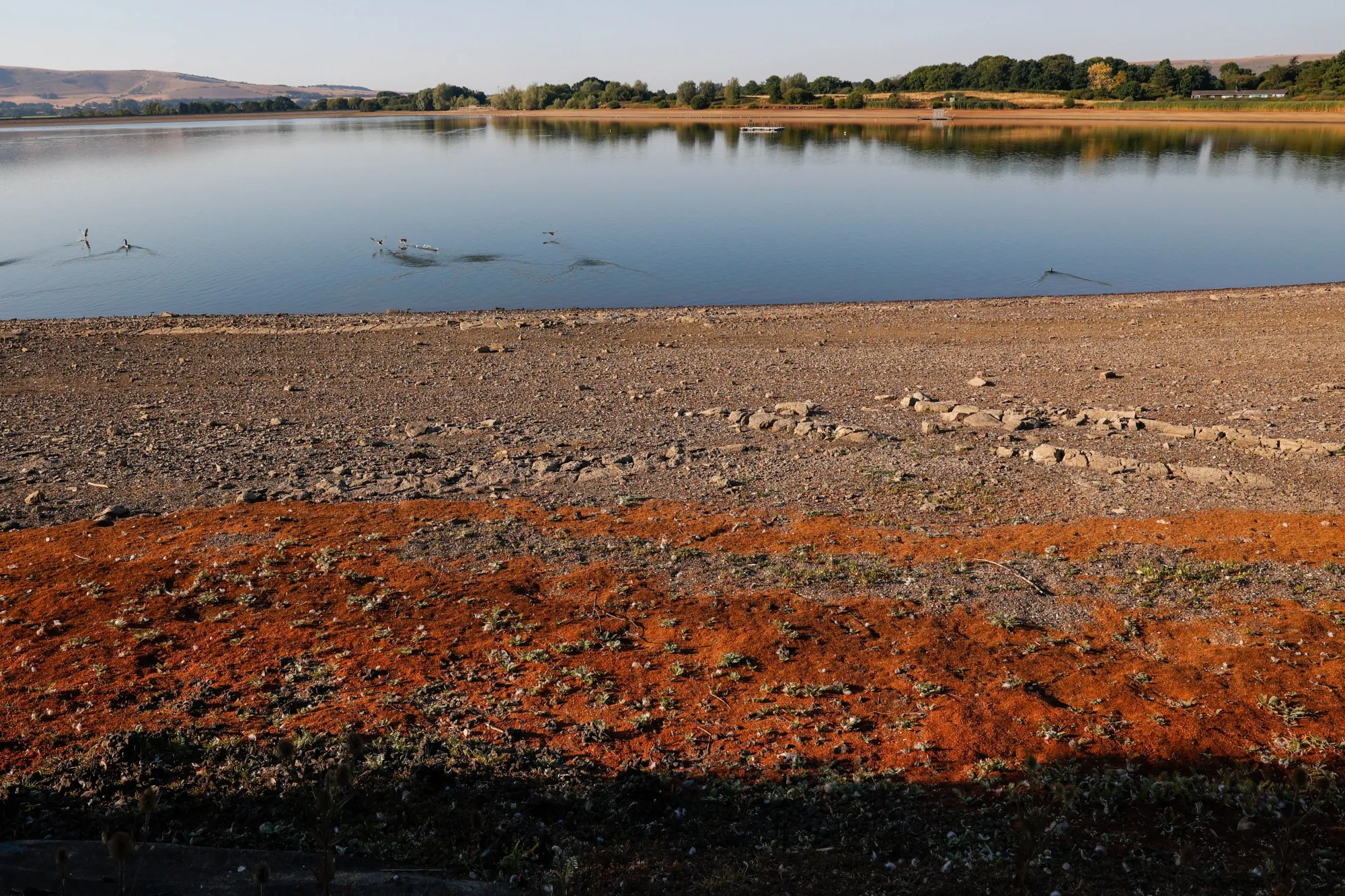 The exposed bed of the Arlington Reservoir, operated by South East Water Ltd., near Polegate, UK, on Friday, Aug. 12, 2022. Extreme heat and dry weather are putting intense pressure on England's water supply.