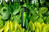 Empty green plastic bottle for soap on background made of green leaves, green gradient, Eco friendly cosmetic product presentation, Place for label, Copy space, Nature creative layout, top view,