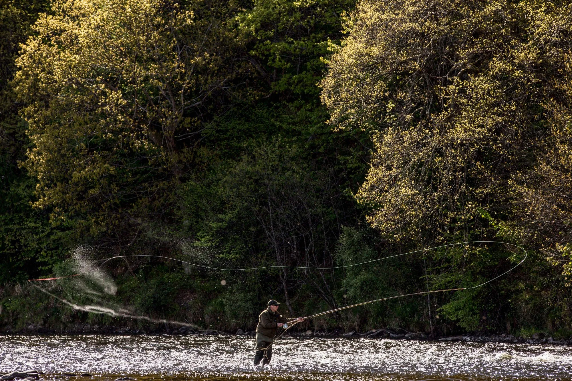 A fisherman casts off in the river Spey.
