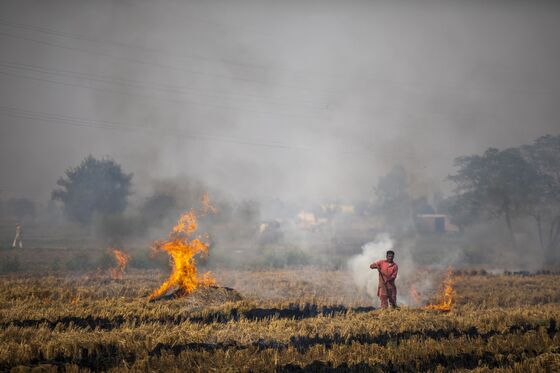 Toxic Air in Delhi Fueled By Rice Fields That India Doesn’t Need