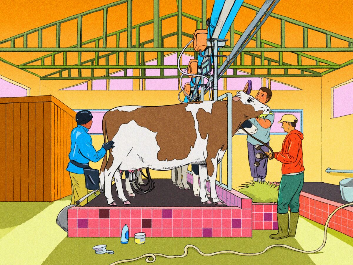 ⚫️ BLOOMBERG: "Emergenza manodopera nei distretti agricoli: necessità di soluzioni creative sotto l'amministrazione Trump"