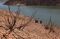 California Struggles To Conserve Water Amid Drought