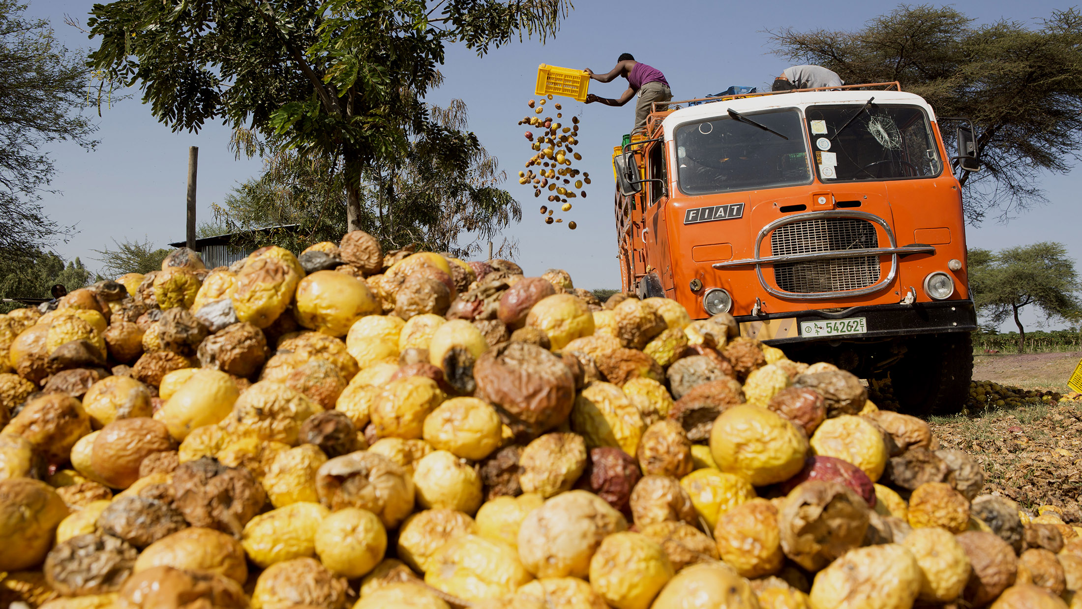 Ethiopia’s Foreign Investment Stalls After Attacks on Businesses