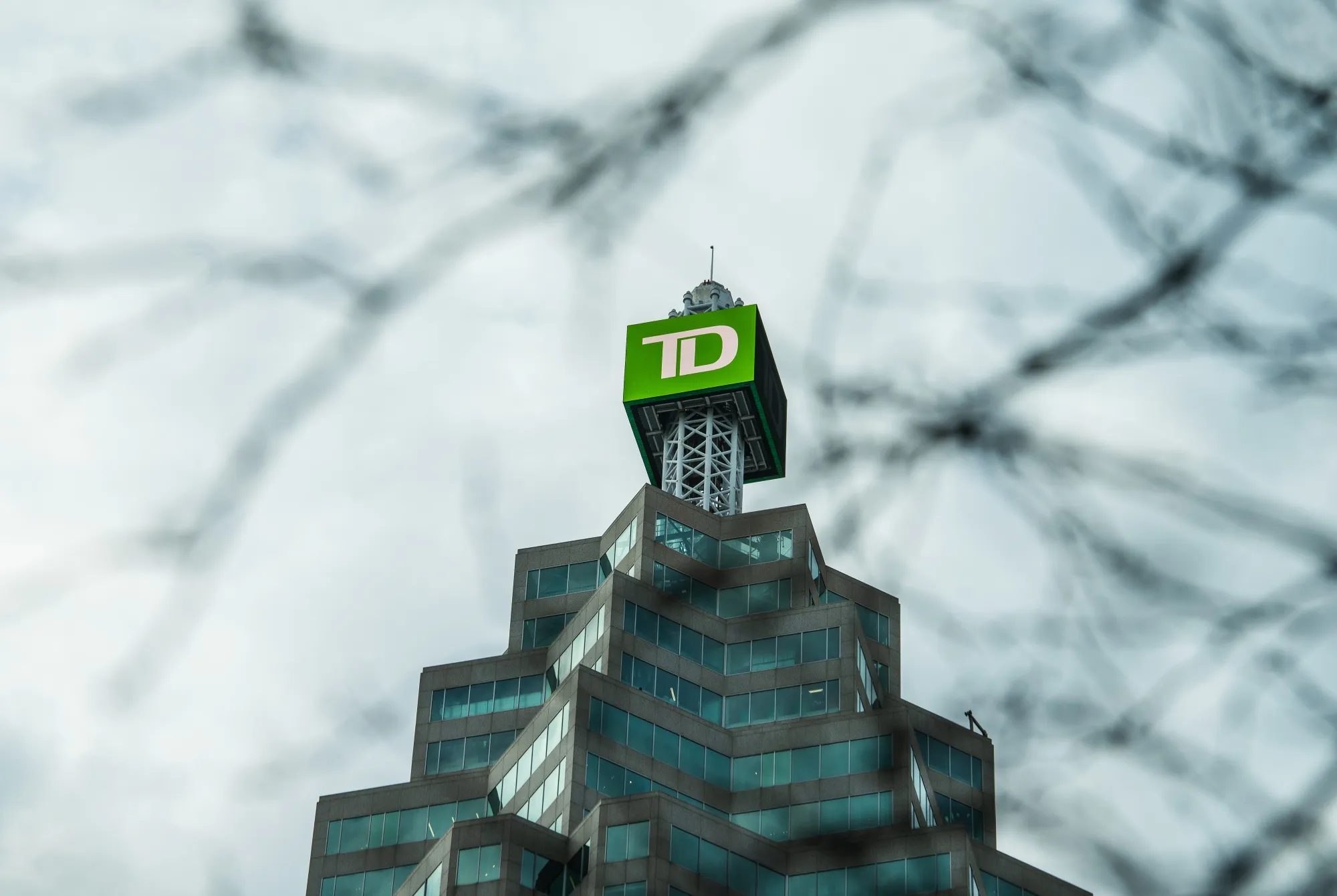 Ex-Trader Sues TD Bank Over Enforcement of One-Year Non-Compete - Bloomberg