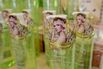 Portraits of Beauty Community CEO Suwin Kraibhubes and Store Interiors as his Thai Firm is the World's Top Beauty Stock
