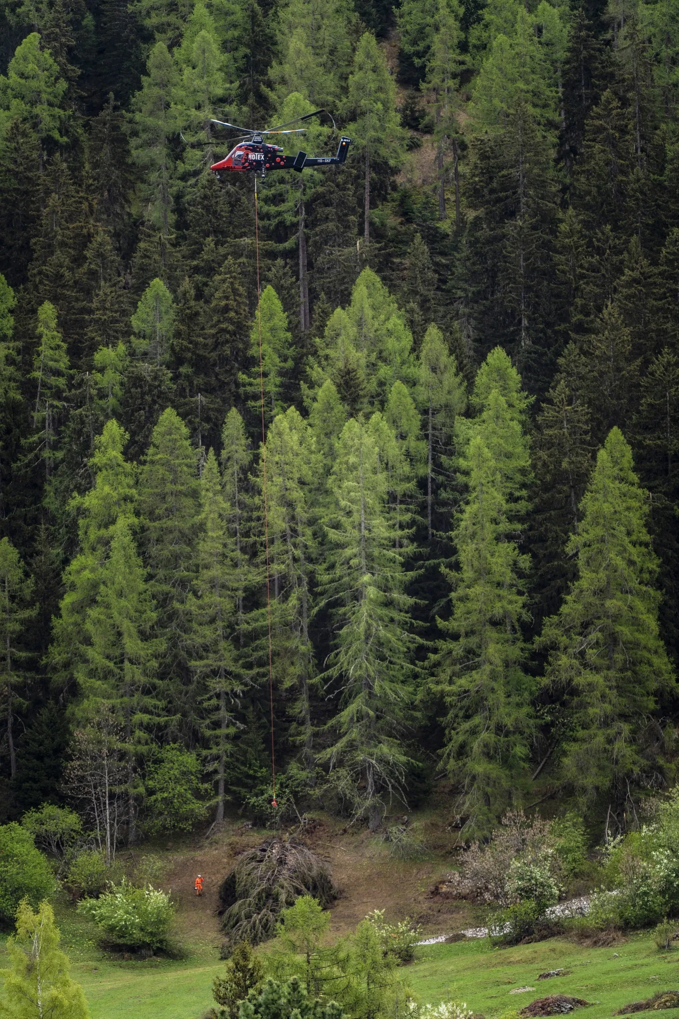 A helicopter hovers above tall pine trees. Below it, a man is visible in a red shirt.