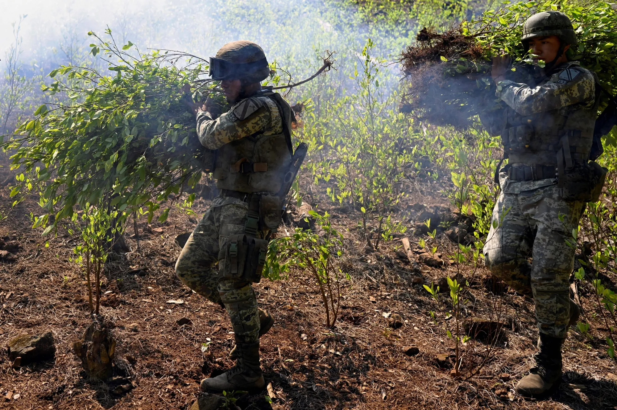 Mexican soldiers burn coca plants during an operation in&nbsp;Atoyac de Alvare, Mexico.