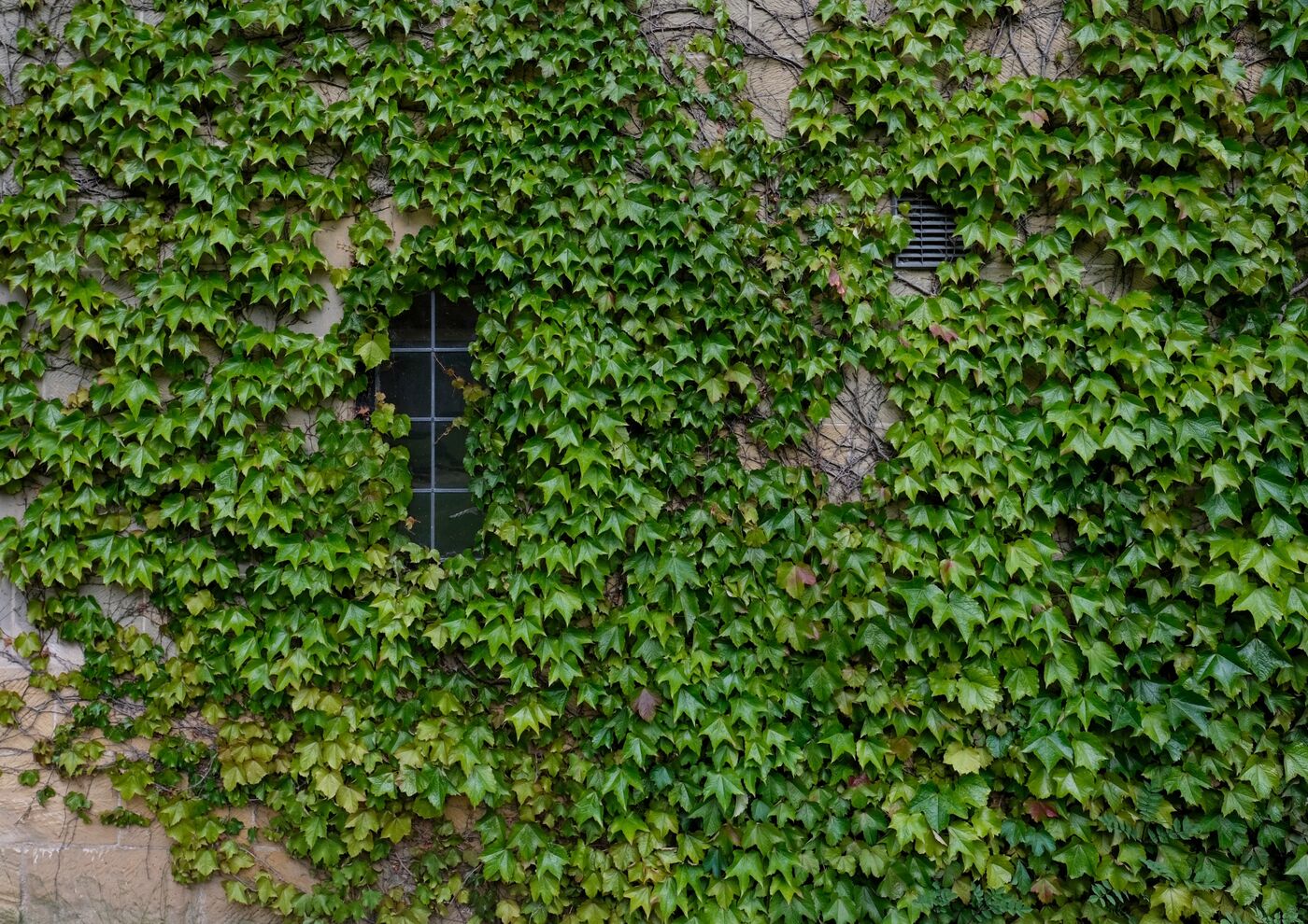 Private School DEI Lawsuits Are Destined to Fail Bloomberg