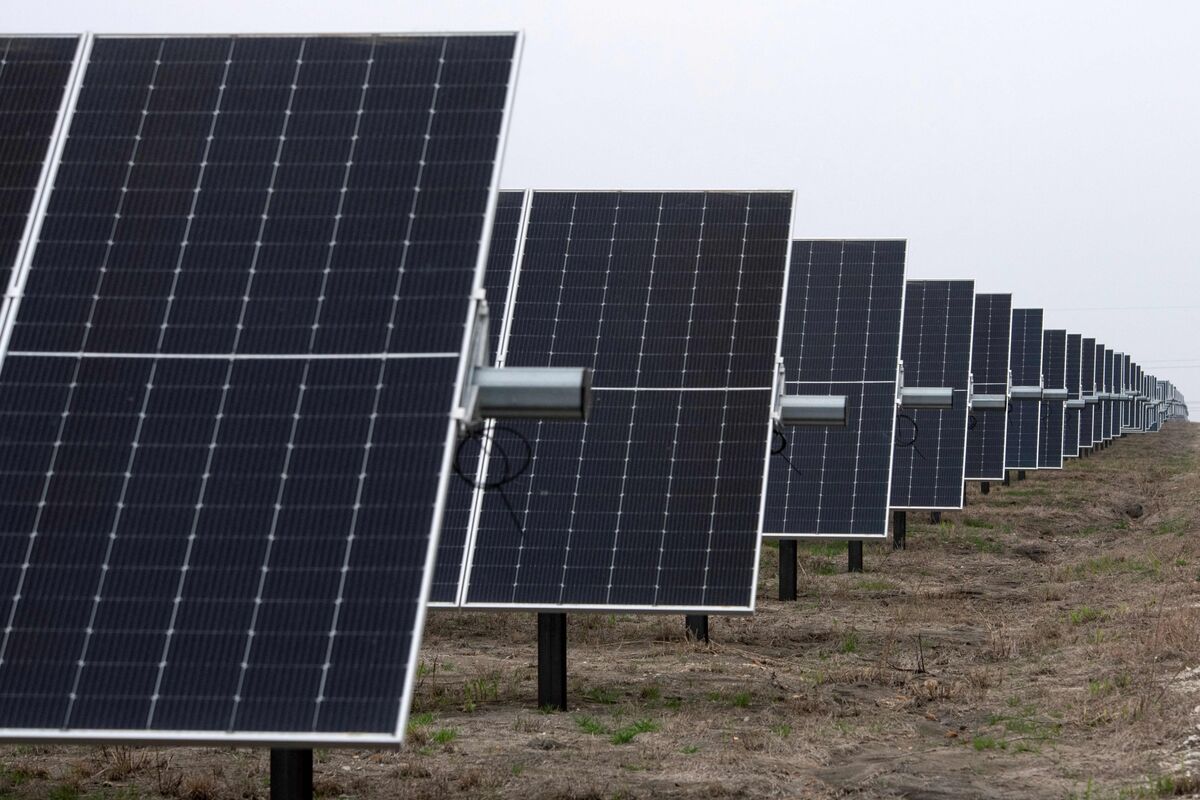 Cockroach Cleantech Is Flipping the Script on Fossil Fuels