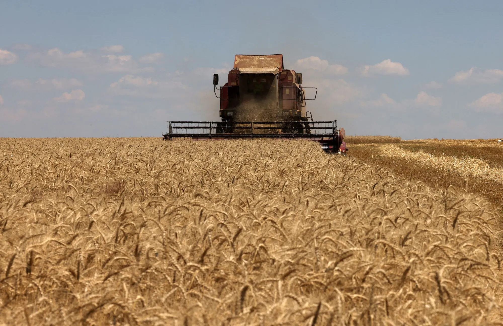 A combine harvests wheat in Mykolaiv region, Ukraine.&nbsp;