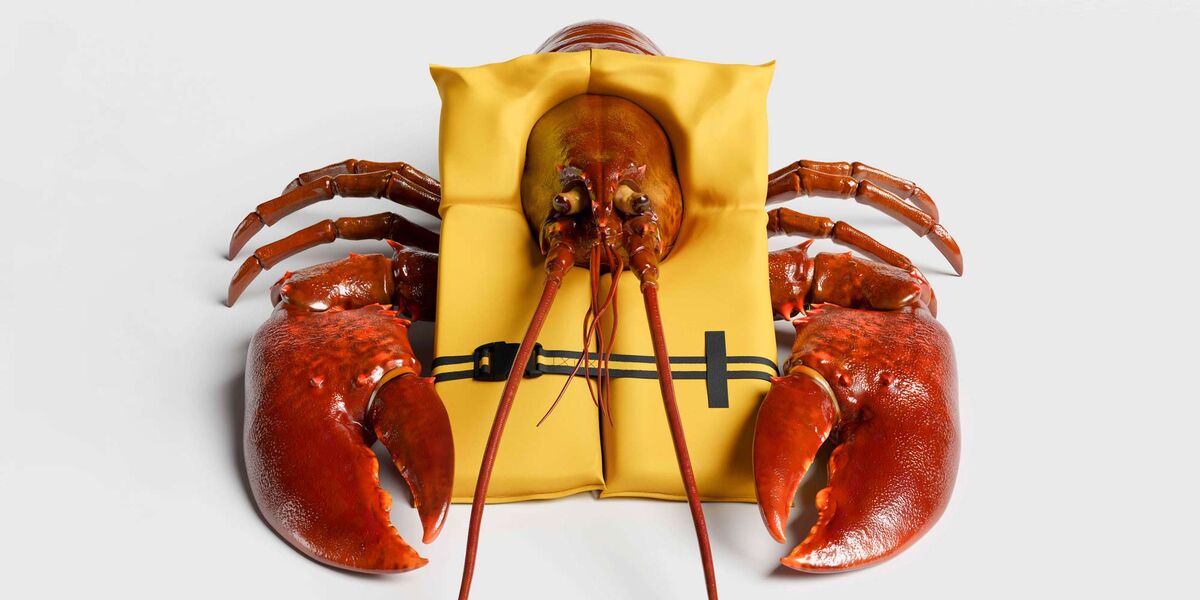 Red Lobster’s Last Gasp