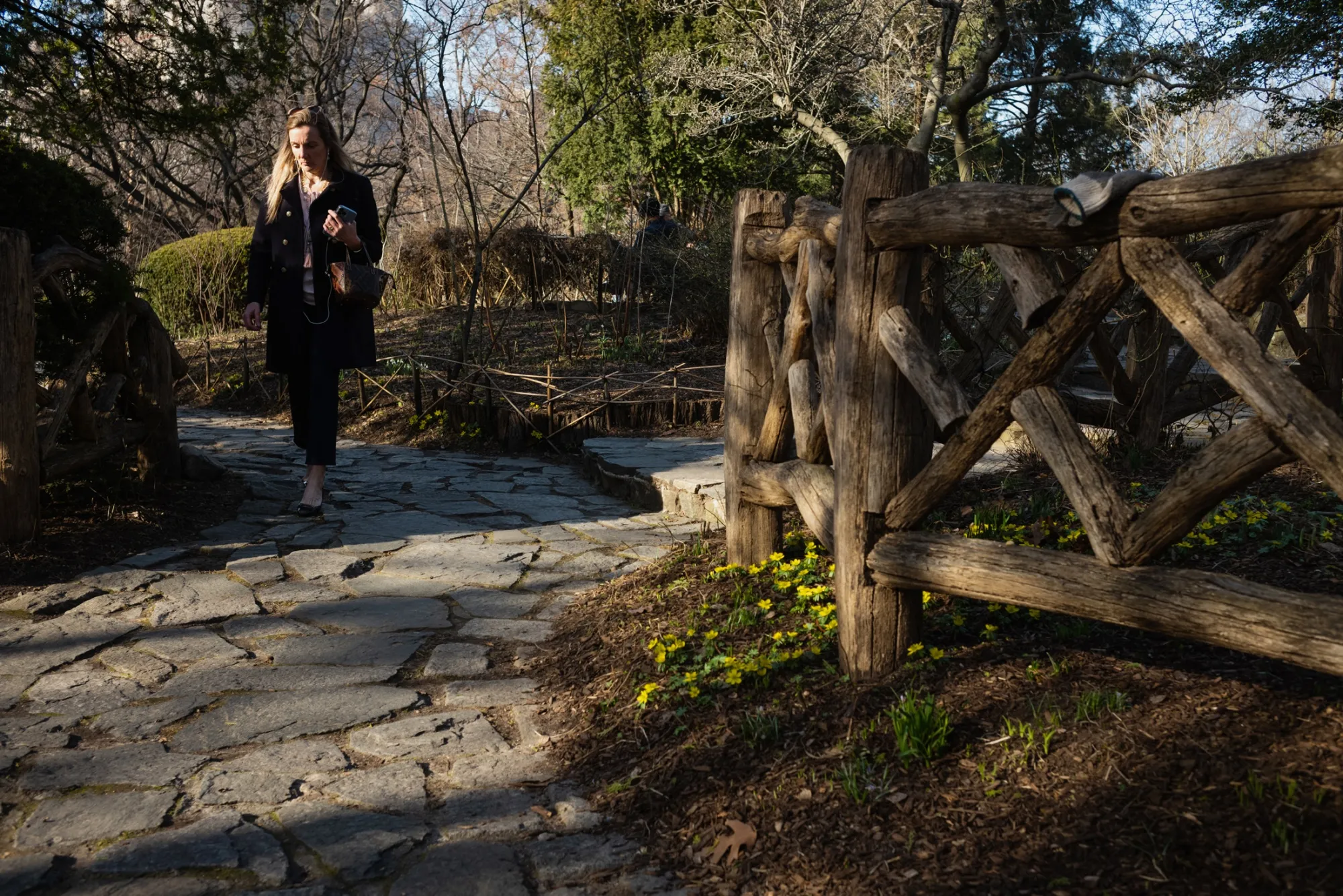 Flowers sprouting up around New York’s Central Park on Feb. 15.&nbsp;