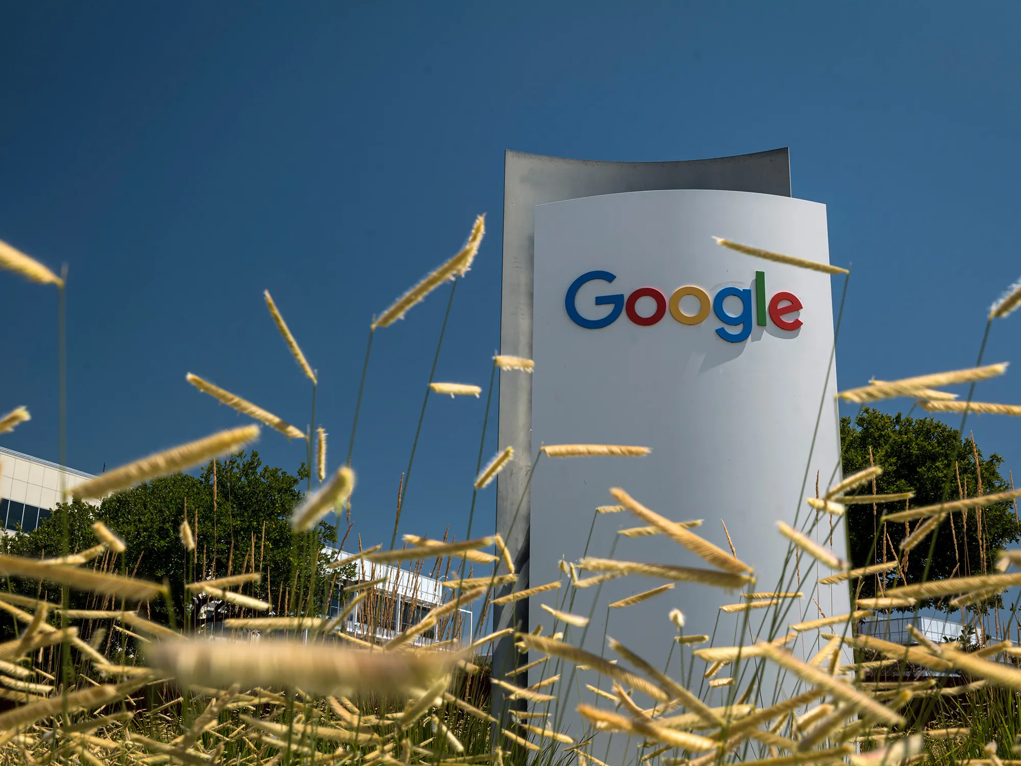 The Google campus in Mountain View, California.