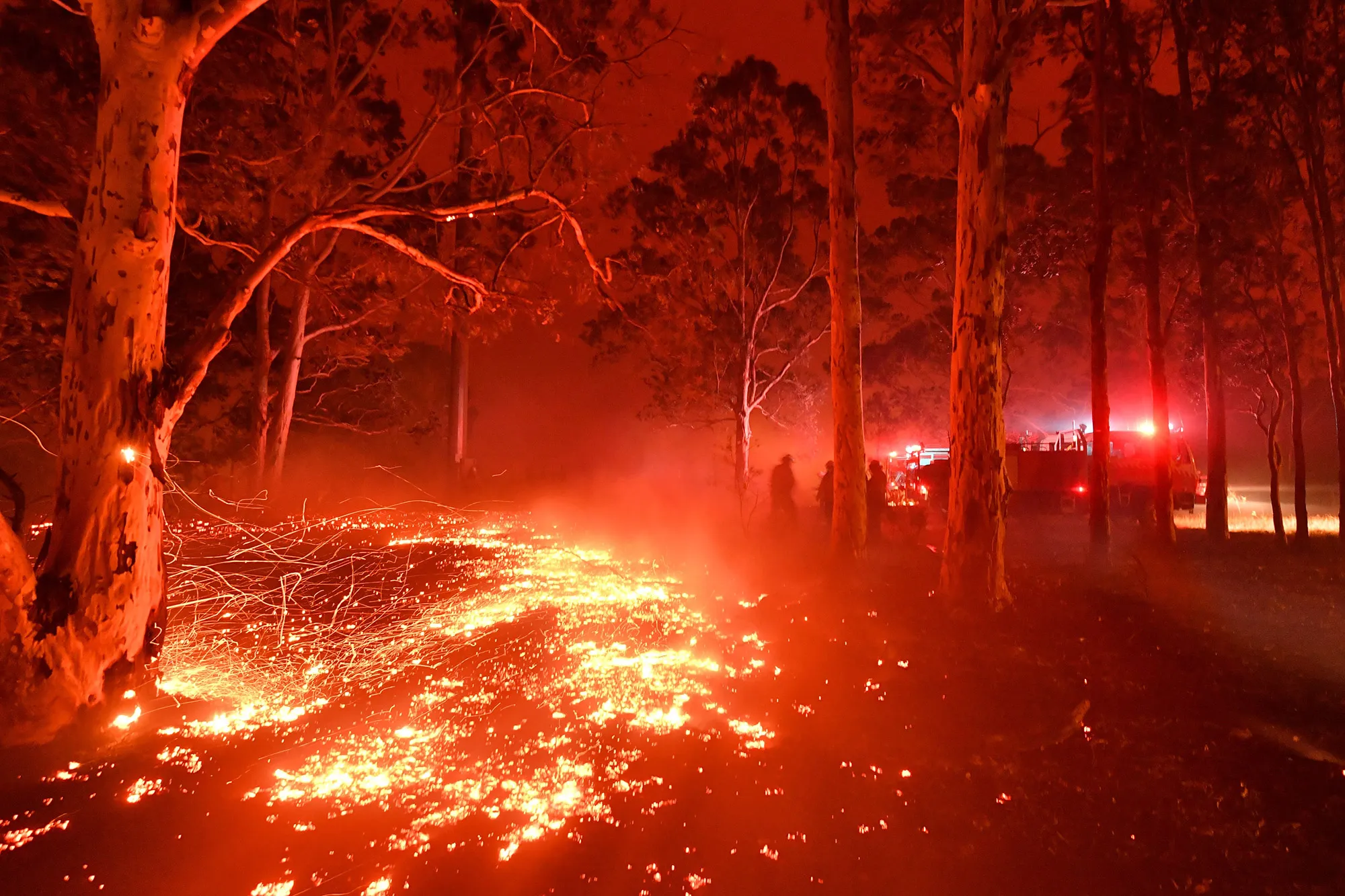 Burning embers cover the ground as firefighters battle against bushfires in New South Wales.
