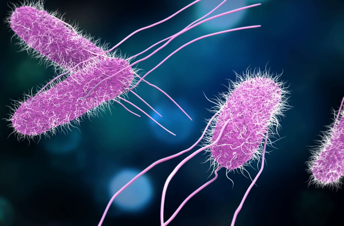 assets.bwbx.io image