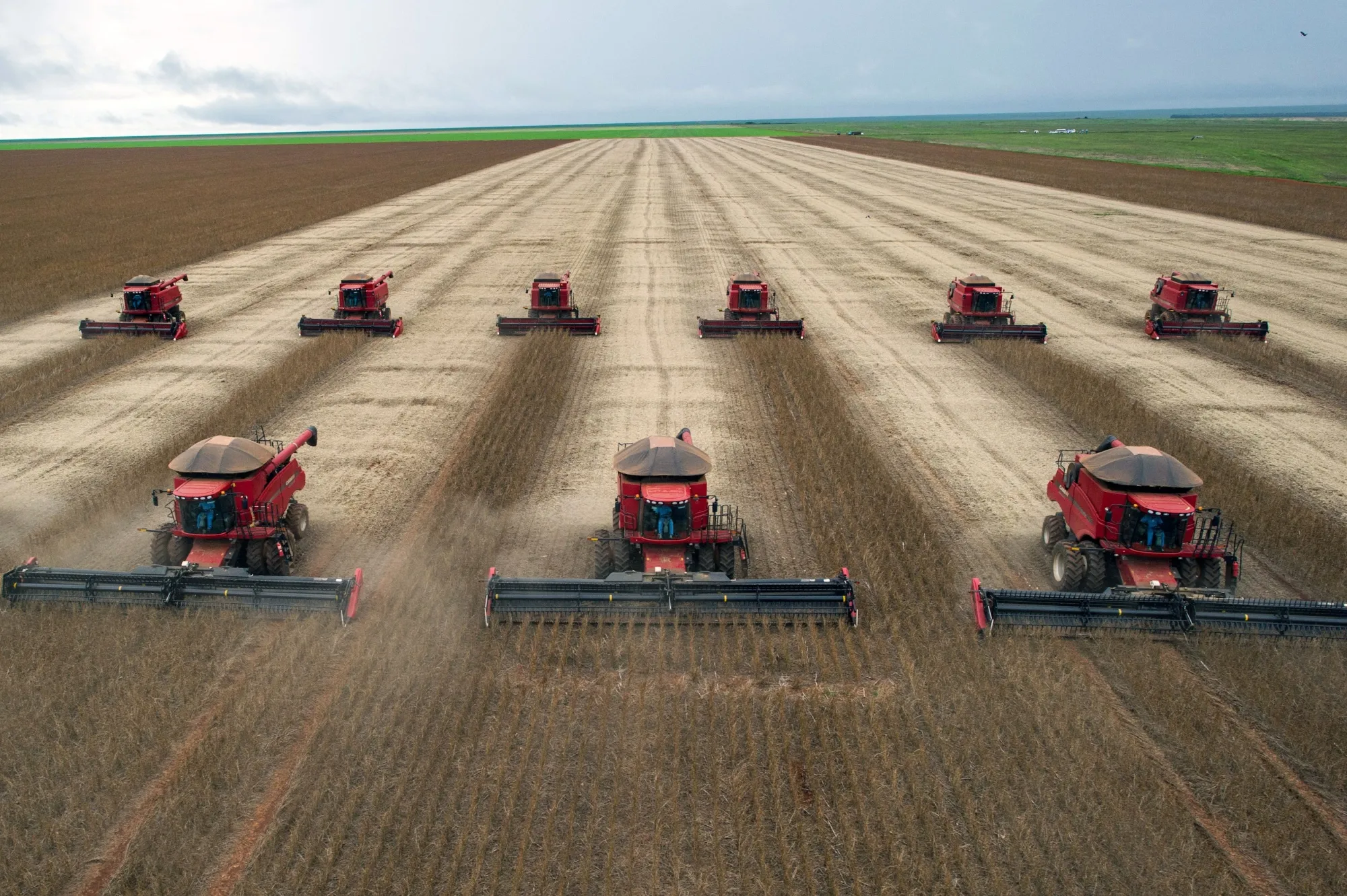 Combine harvesters gather soybeans in Campo Novo do Parecis, Brazil.