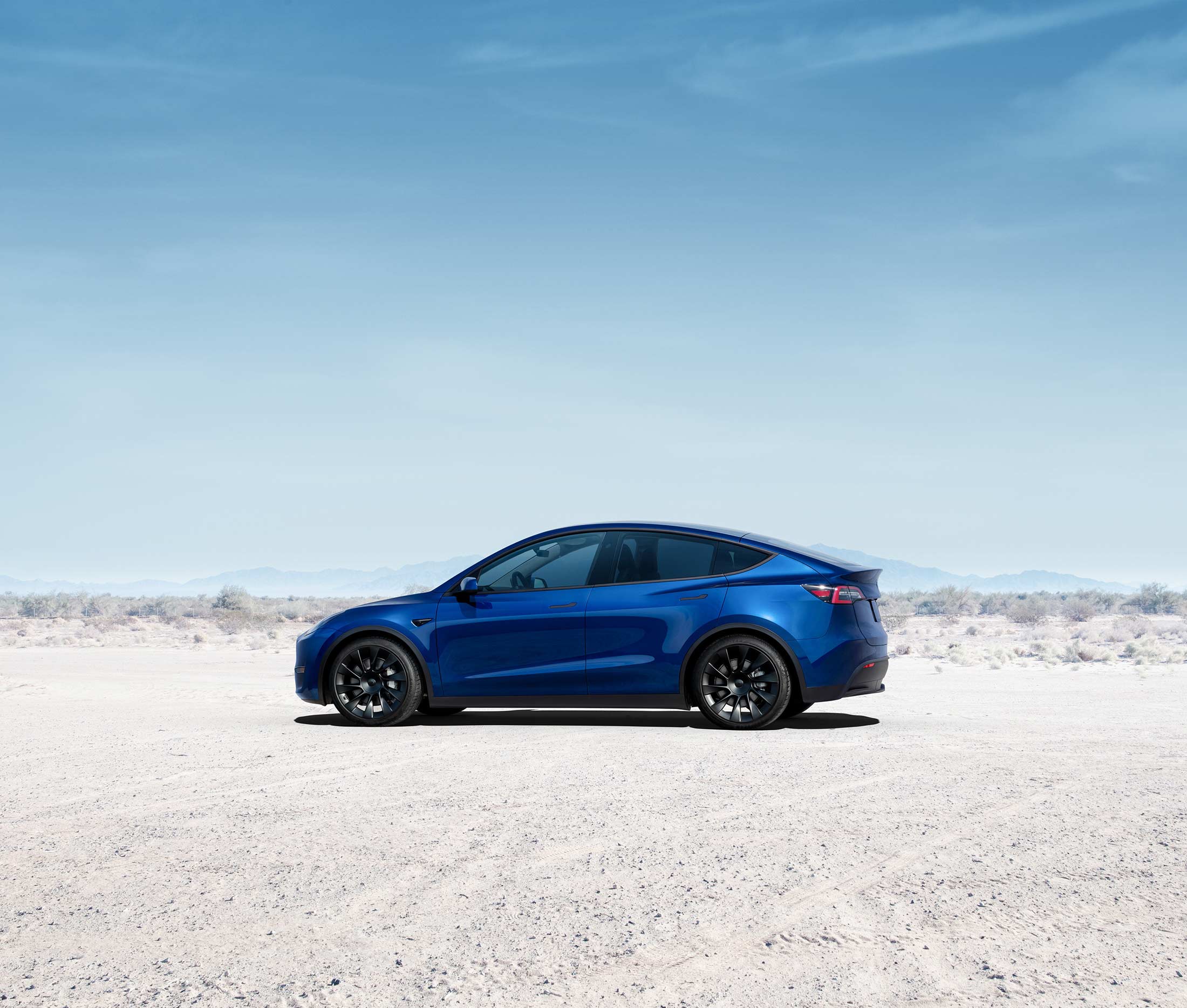 Tesla Model Y Price Cuts Mean Elon Musk's Either Disruptive or Desperate -  Bloomberg