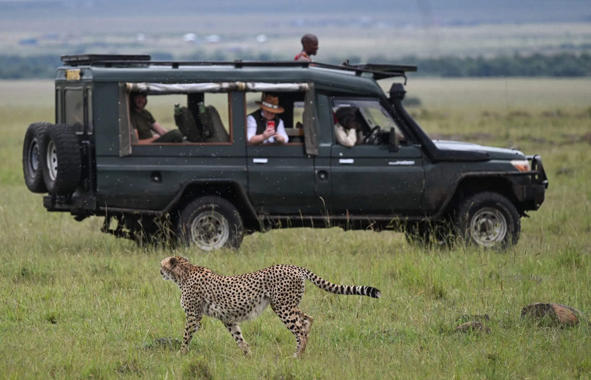 Tourists in the Masai Mara National Reserve, Kenya.