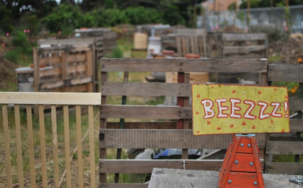 The Bee Farm is on a formerly vacant lot adjacent to a billboard and a highway in the Portola neighborhood of San Francisco. 