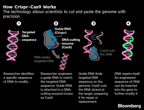 Intellia Gains After Strong Results in Landmark Crispr Study