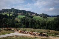relates to Europe Wants to Cultivate a New Generation of Sustainable Farmers