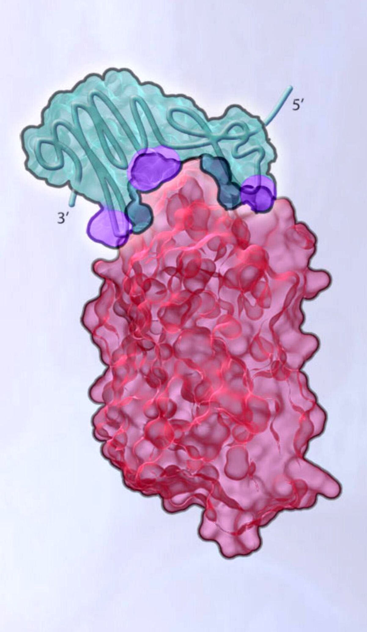 Standard BioTools to Combine with SomaLogic in 1 Billion Merger