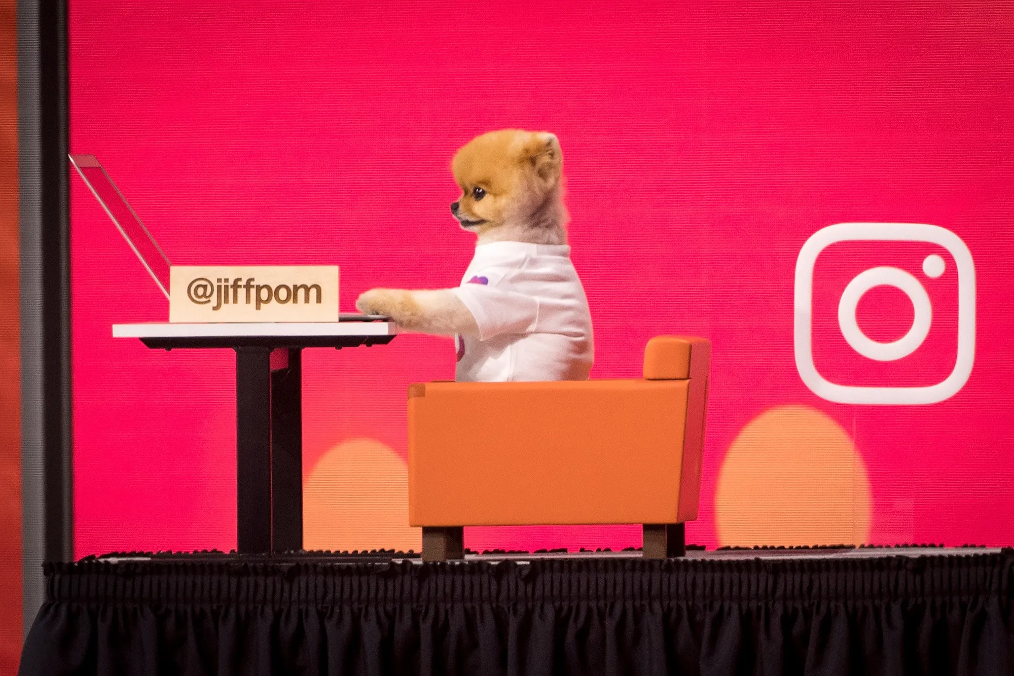 Dear Generation Z, your Instagram is about to be filled with crappy ads.