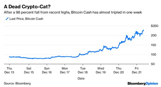 Bitcoin Cash’s 180% Bounce Looks Like a Dead Cat