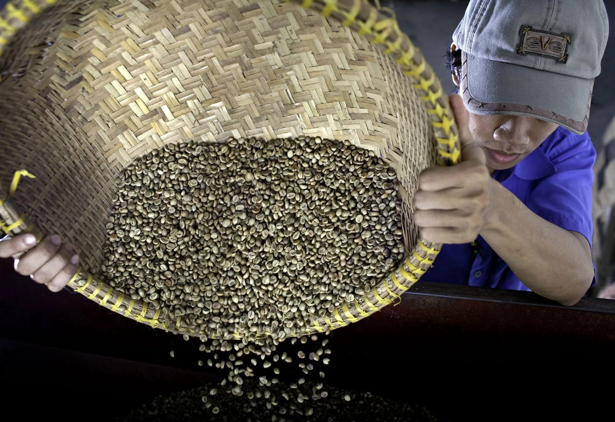 Coffee Processing Plant