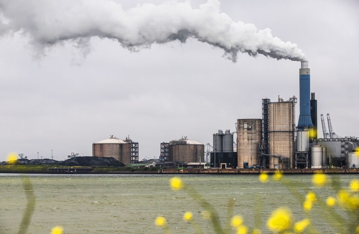 What Does a Gas Country Do Without Gas? The Dutch Can Answer