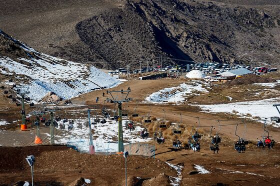 Giant Vultures Circle Slopes in ‘Truly Depressing’ Ski Season