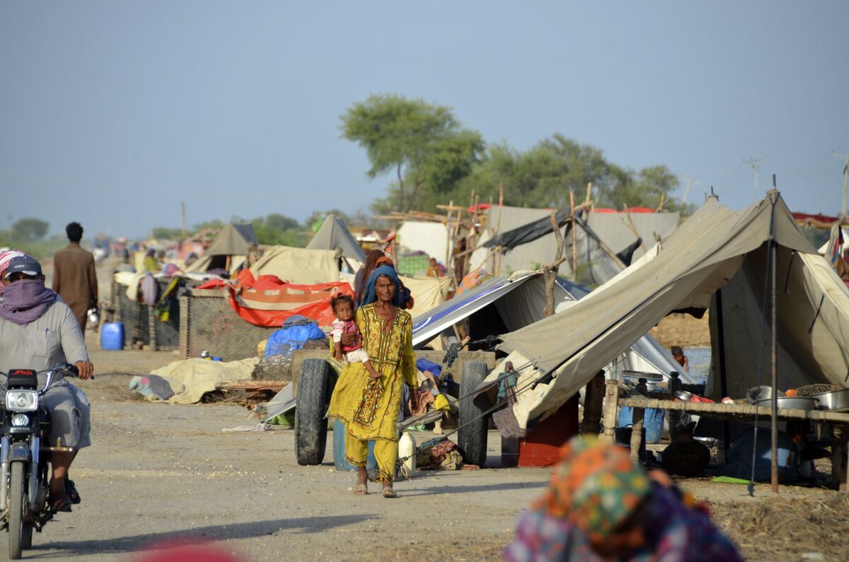 Angelina Jolie to visit flood-ravaged Pakistan as government warns