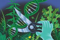 relates to Illumina’s Sudden CEO Exit Is Just One of Many Problems Facing DNA Company