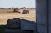 Operations During A Soybean Harvest As Crop Price Fluctuates