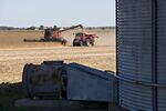 Operations During A Soybean Harvest As Crop Price Fluctuates