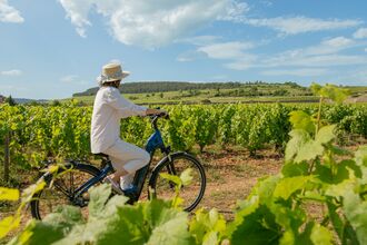 PURSUITS_WEB_wine tourism