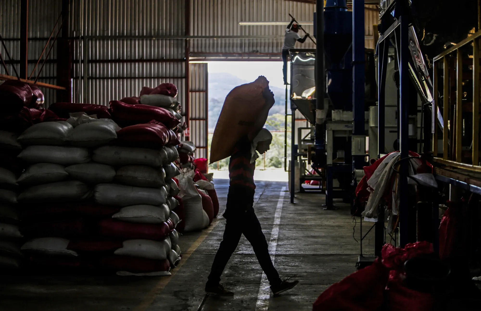 A man carries a sack of dry coffee beans at a processing plant in Matagalpa,&nbsp;Nicaragua.
