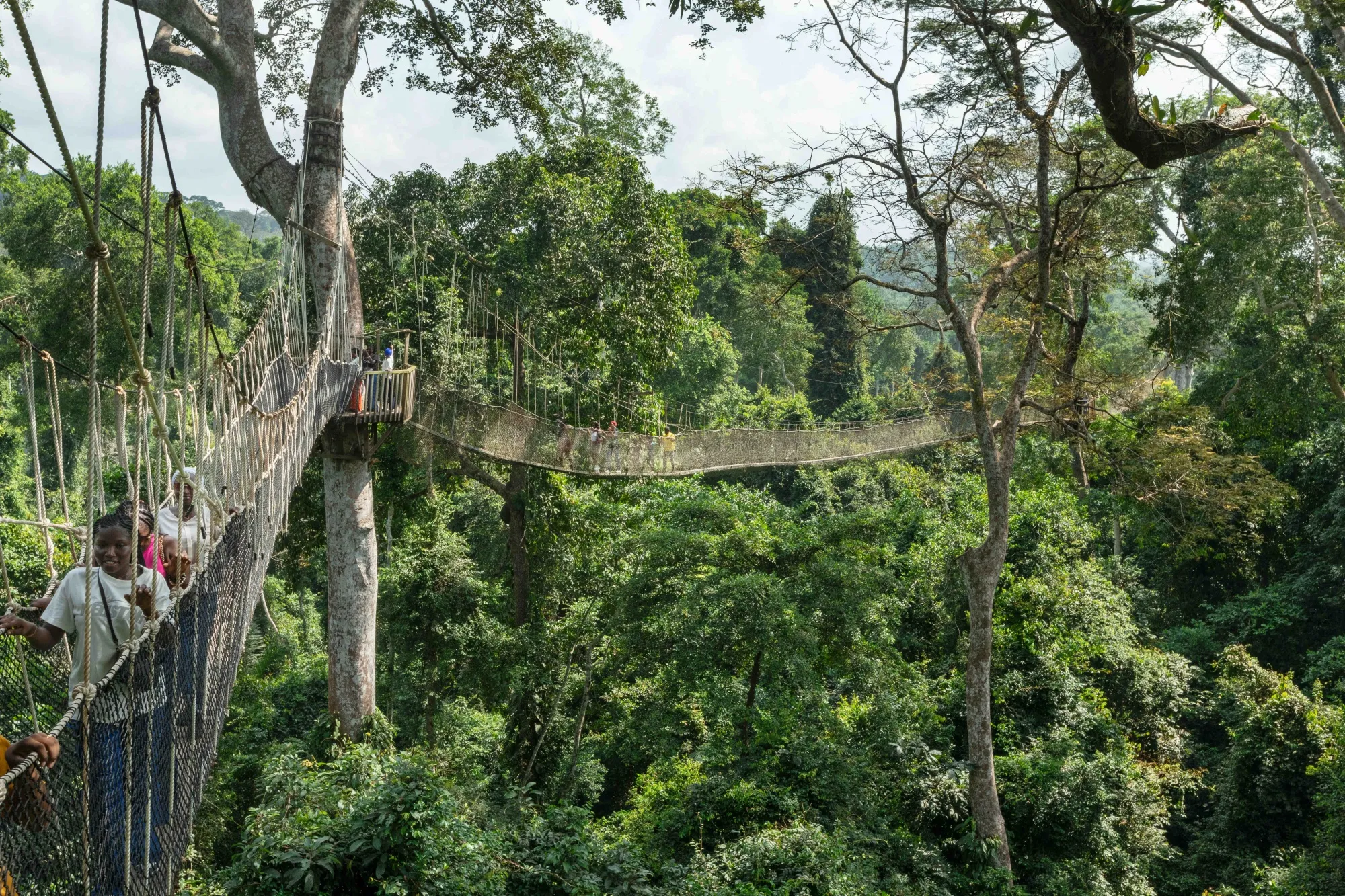 Tourists enjoy the canopy walkway on a suspension bridge in Ghana's Kakum National Park.