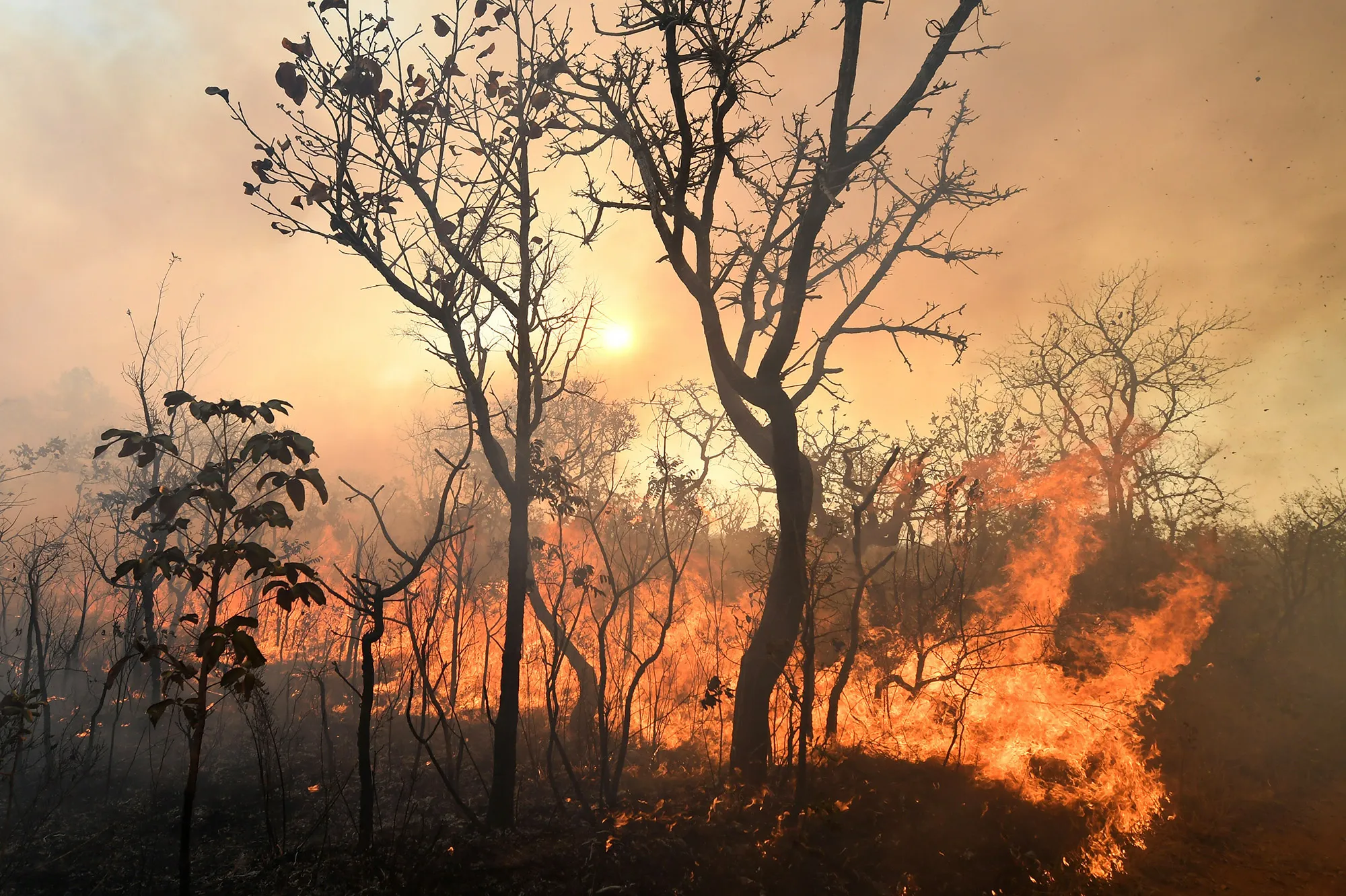 BRAZIL-DROUGHT-FIRE