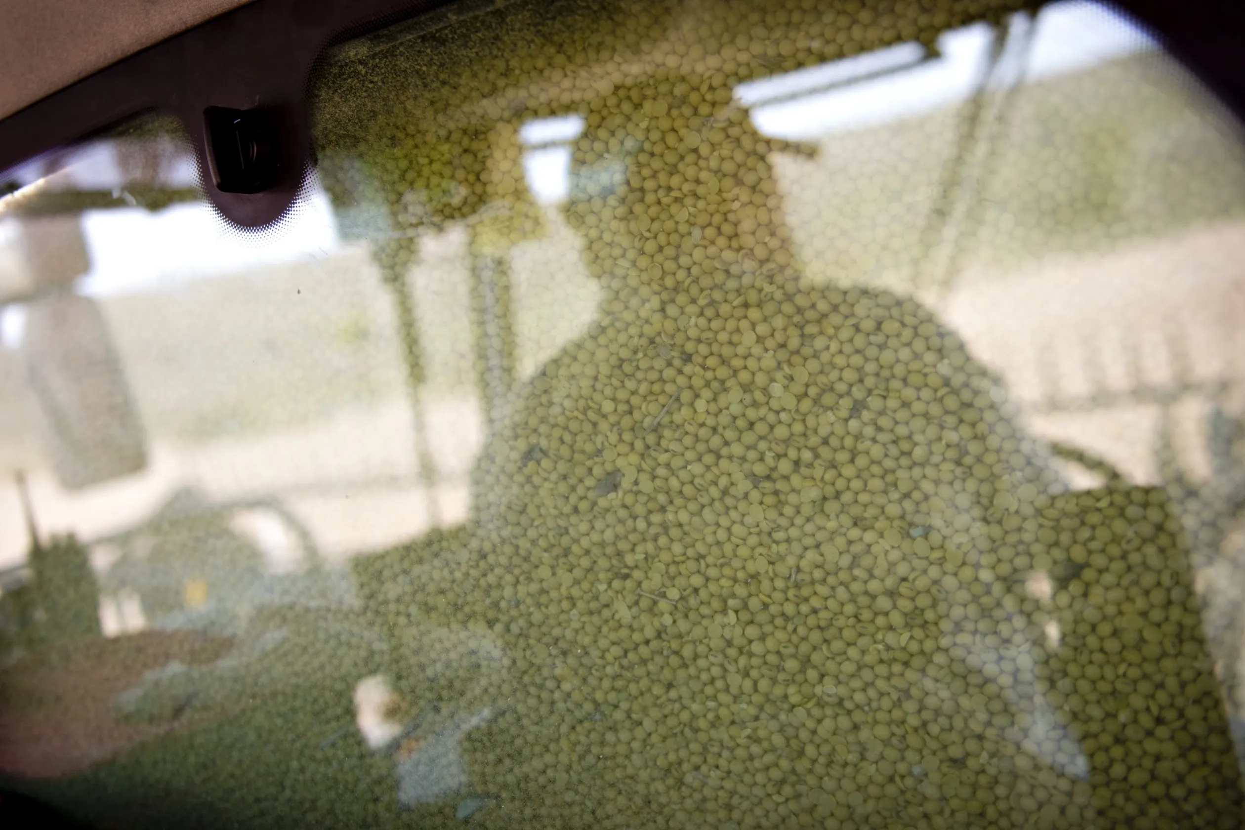 Dry Weather Boosts Farmer Harvesting of U.S. Soybean Crop