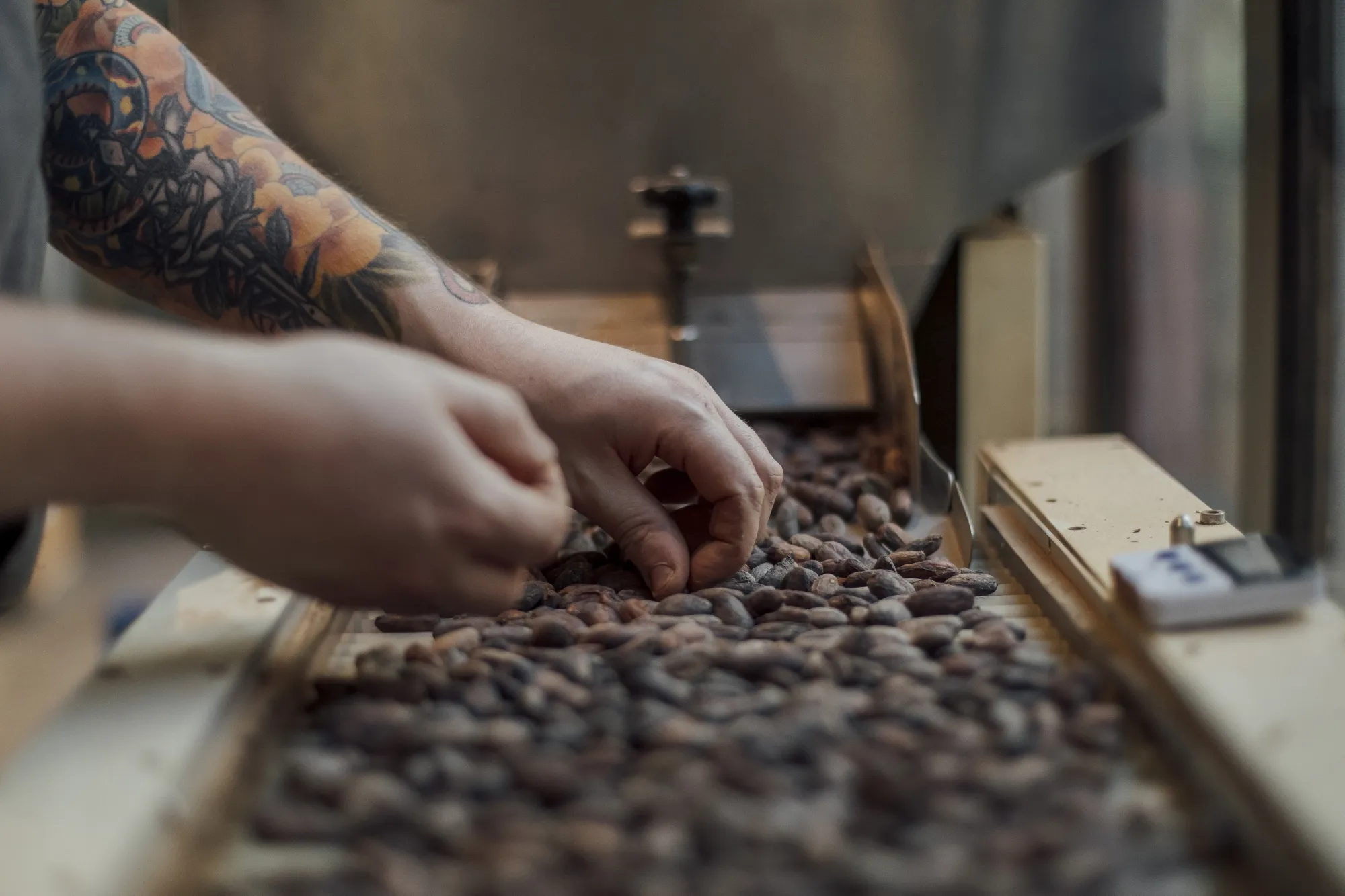 An employee prepares cocoa beans for roasting.