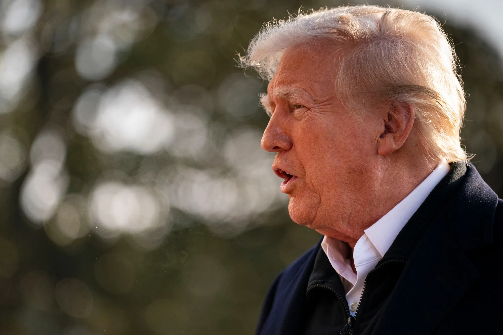 Donald Trump&nbsp;