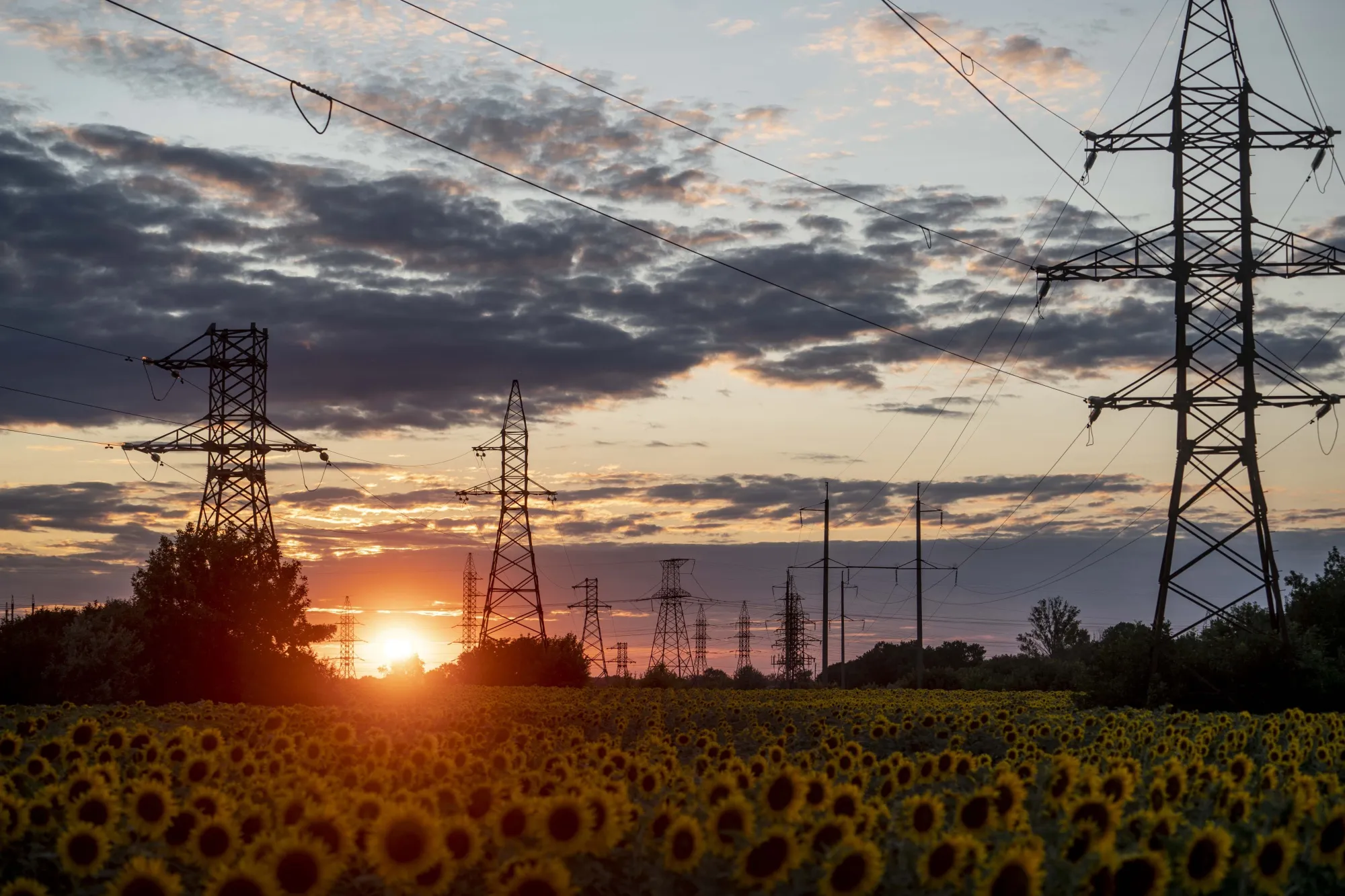 Ukraine is the biggest exporter of sunflower oil.