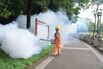 Guangdong Moves Swiftly To Combat Chikungunya