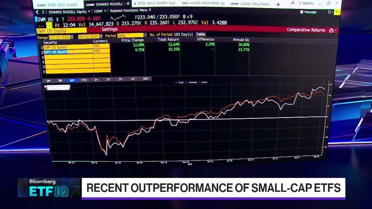 Rosenbluth on Recent Outperformance of Small-Cap ETFs
